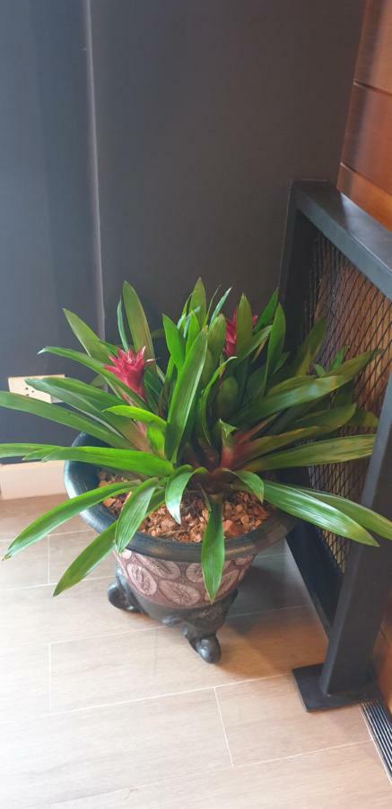 The Lantern Suites Ban Song Hong Ngoại thất bức ảnh